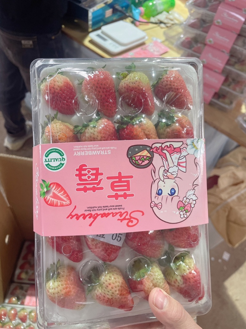 双流草莓夏季草莓蒙特瑞全国冷链空运支持出口有执照