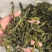 三级架豆王