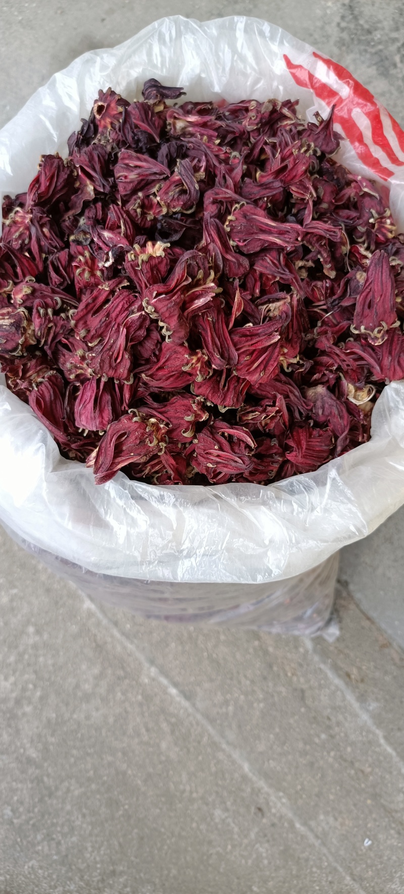 玫瑰茄