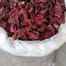 玫瑰茄