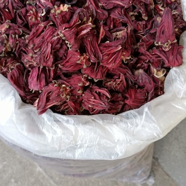 玫瑰茄