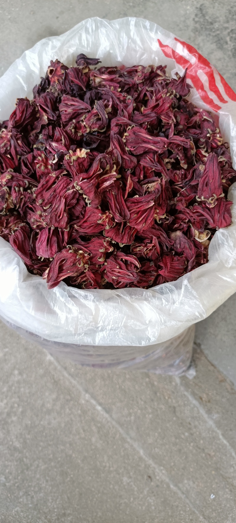 玫瑰茄