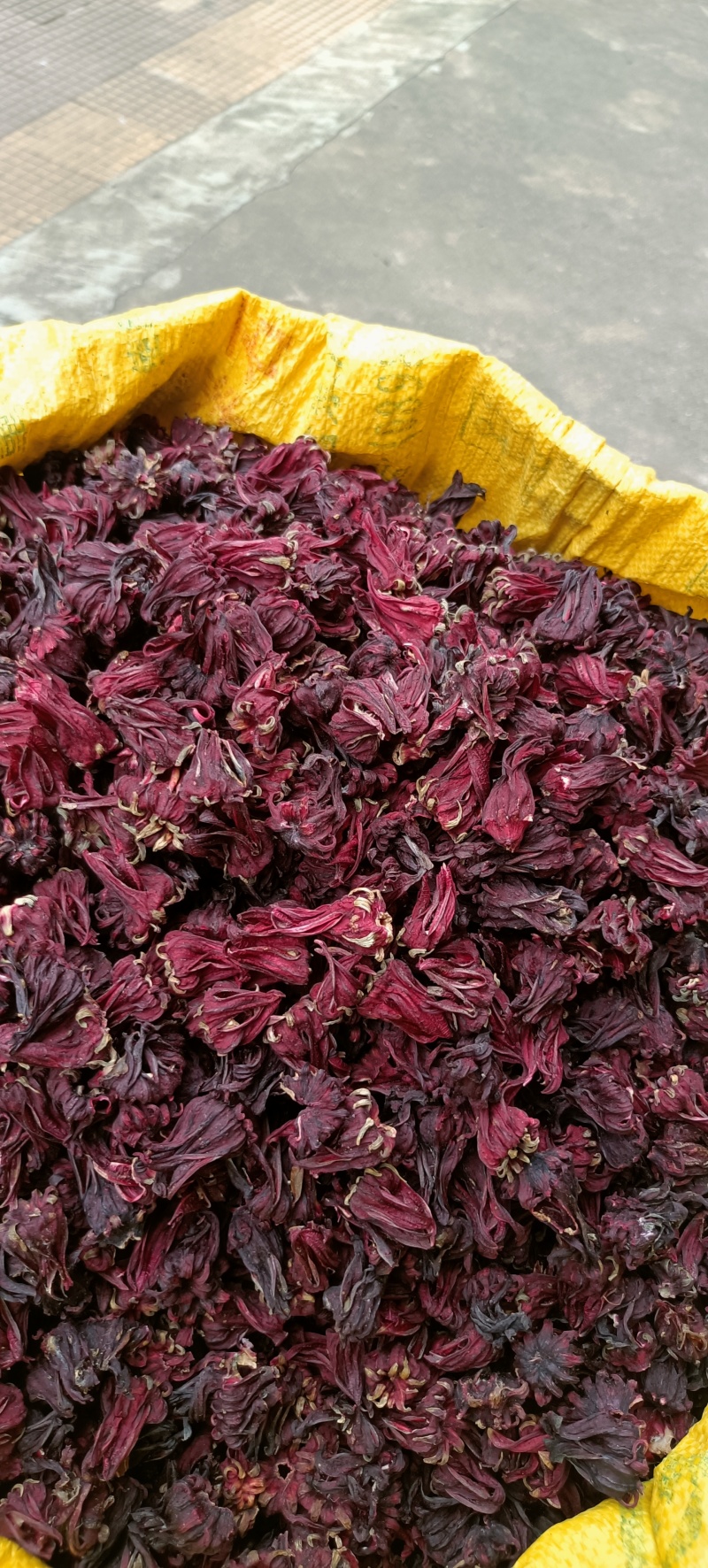 玫瑰茄