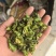 线椒段干