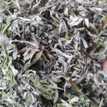 泡脚包一整盒有三十小包，实惠又优惠，物美价廉
