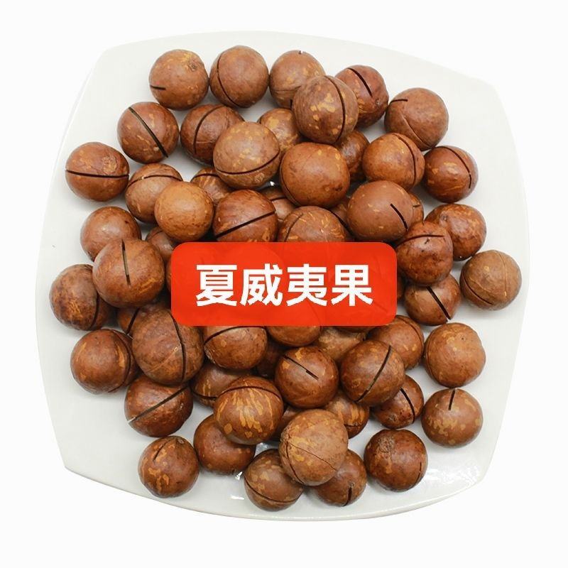 澳洲夏威夷果果仁夏威夷果碎工厂直发