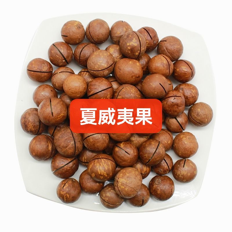 澳洲夏威夷果果仁夏威夷果碎工厂直发