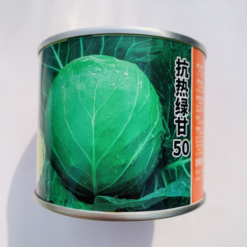 抗热绿甘50甘蓝种子耐裂球三系杂交甘蓝种籽耐热圆包菜种子