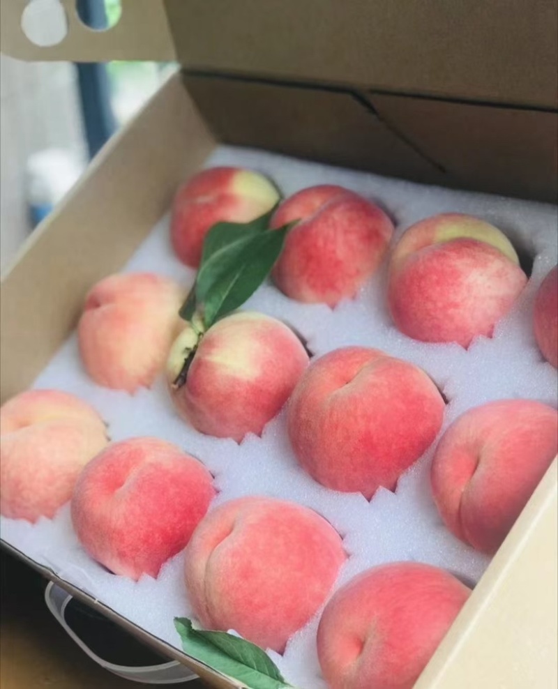简阳市阳春玉桃春雪春美突围桃桃子