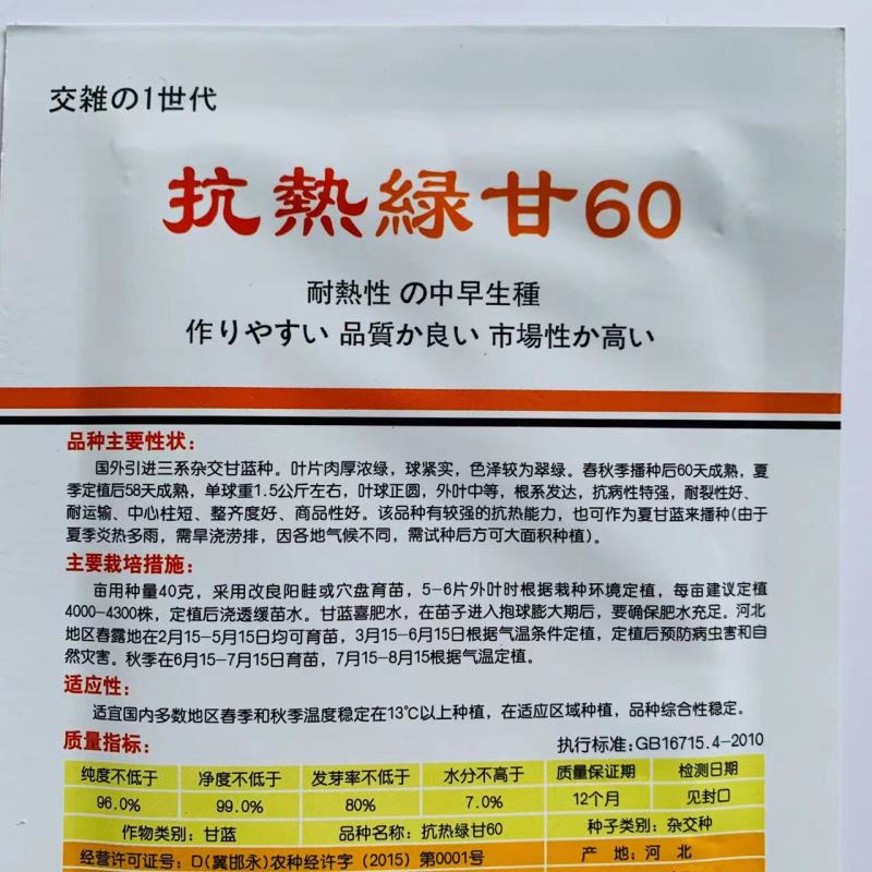三系杂交甘蓝种子抗热绿甘60包菜种子耐裂性好口感甜脆