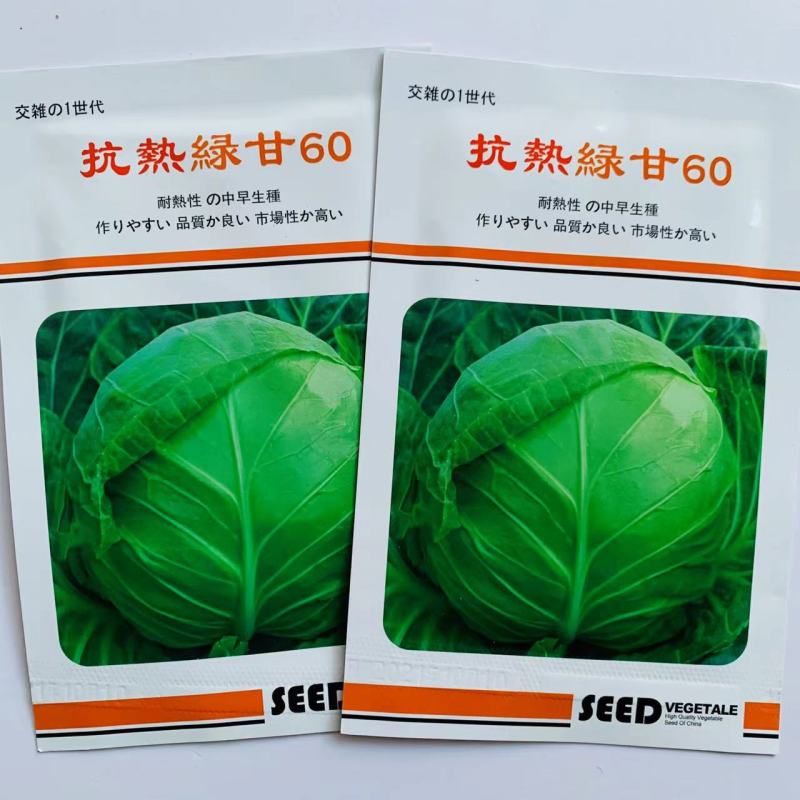 三系杂交甘蓝种子抗热绿甘60包菜种子耐裂性好口感甜脆