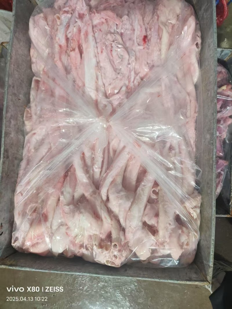 母猪黄喉