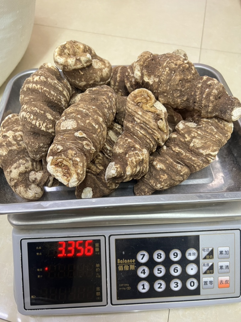 重楼云南滇重楼常年大货供应