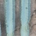 无根量天尺丫子