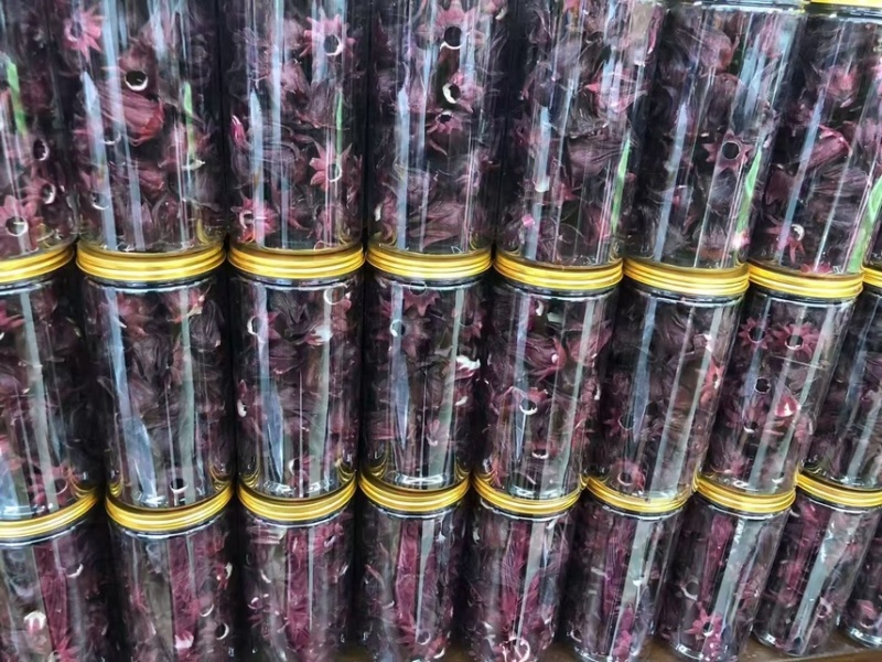 洛神花玫瑰茄云南洛神花产地直销