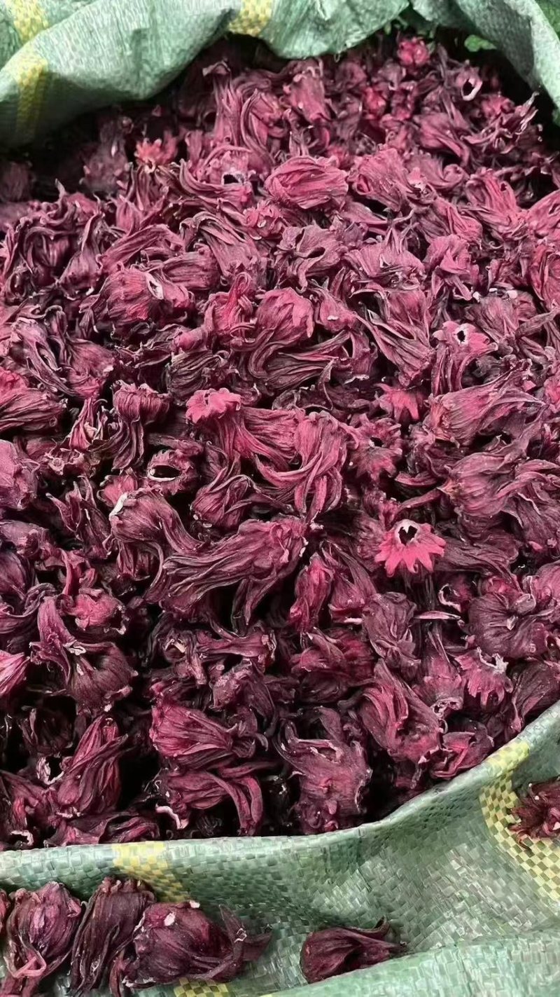 洛神花玫瑰茄云南洛神花产地直销