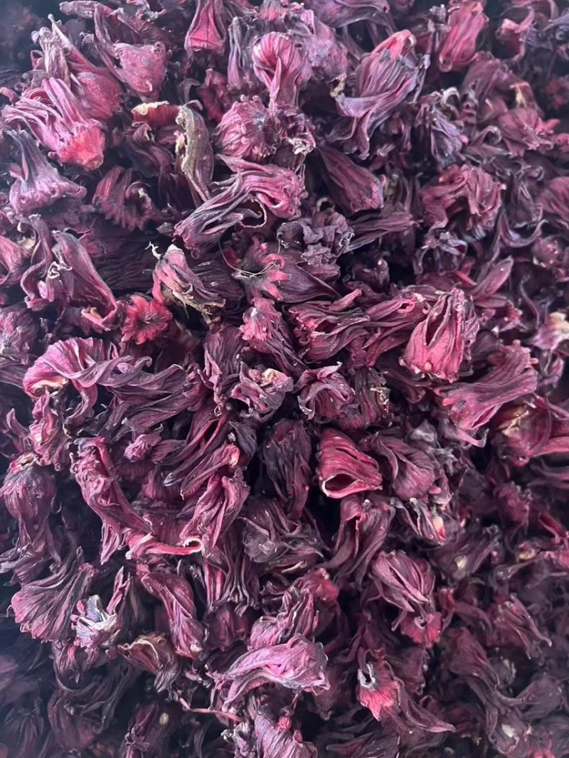 洛神花玫瑰茄云南洛神花产地直销