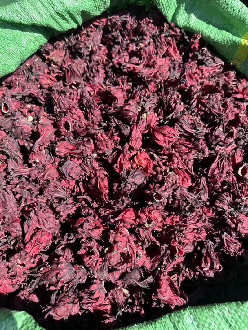 洛神花玫瑰茄云南洛神花产地直销
