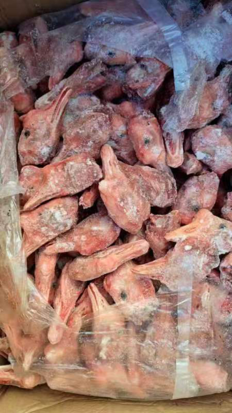 老鹅头精品货源充足品质保证诚信经营欢迎联系