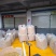 金银花云南金银花2025年新货大量上市