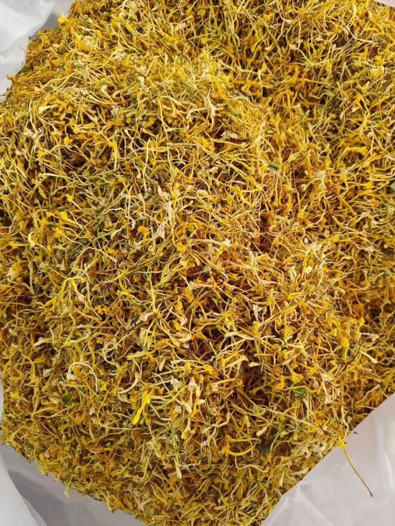 金银花云南金银花2025年新货大量上市