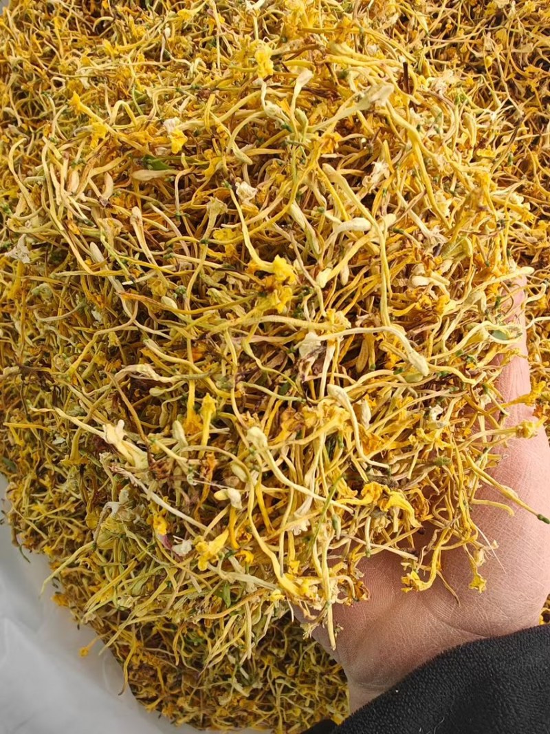 金银花云南金银花2025年新货大量上市