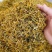 金银花云南金银花2025年新货大量上市