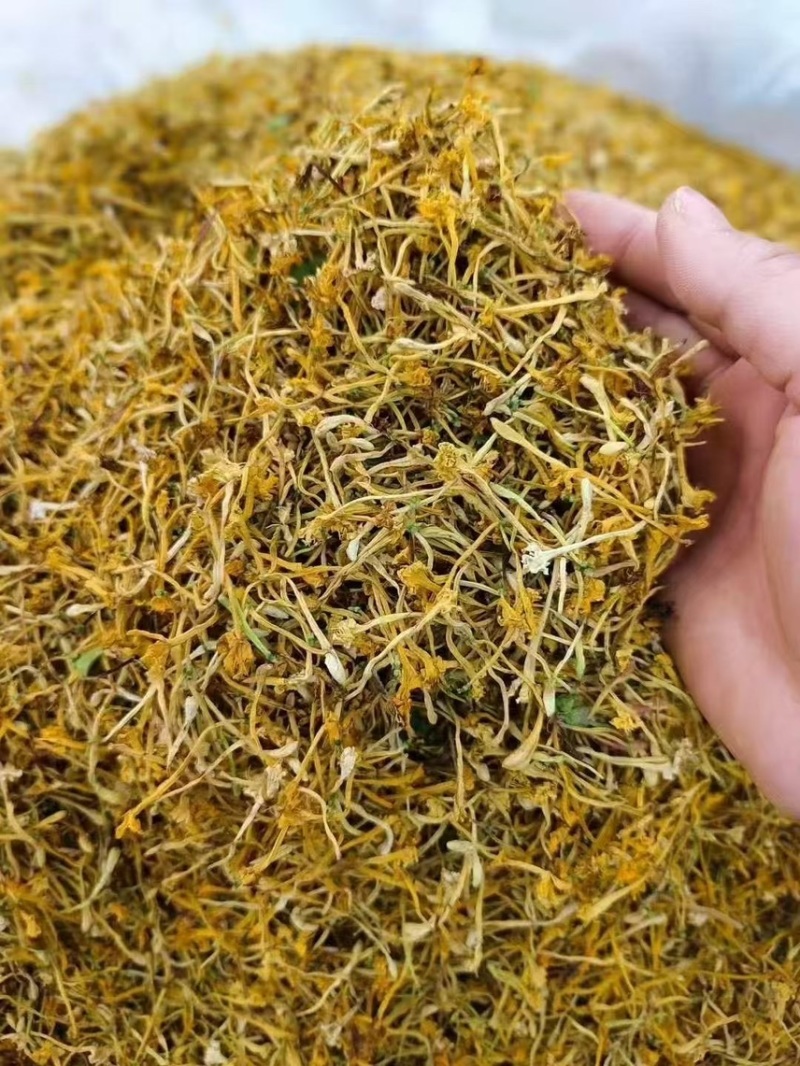 金银花云南金银花2025年新货大量上市