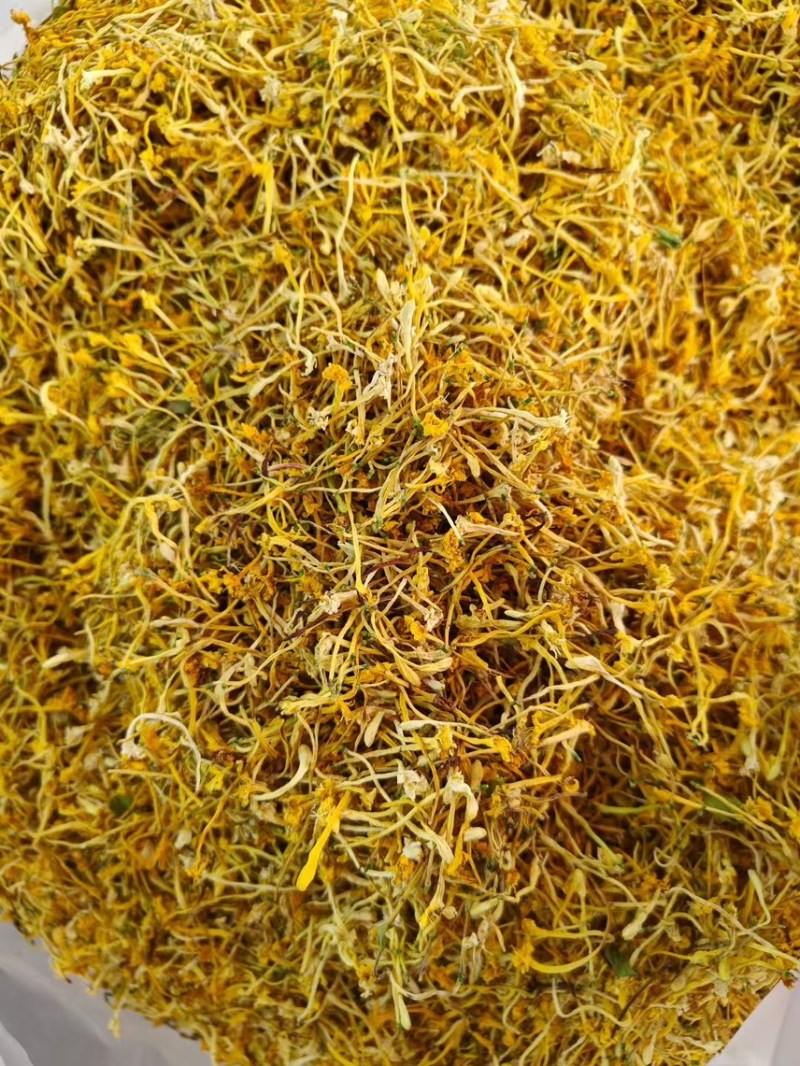 金银花云南金银花2025年新货大量上市
