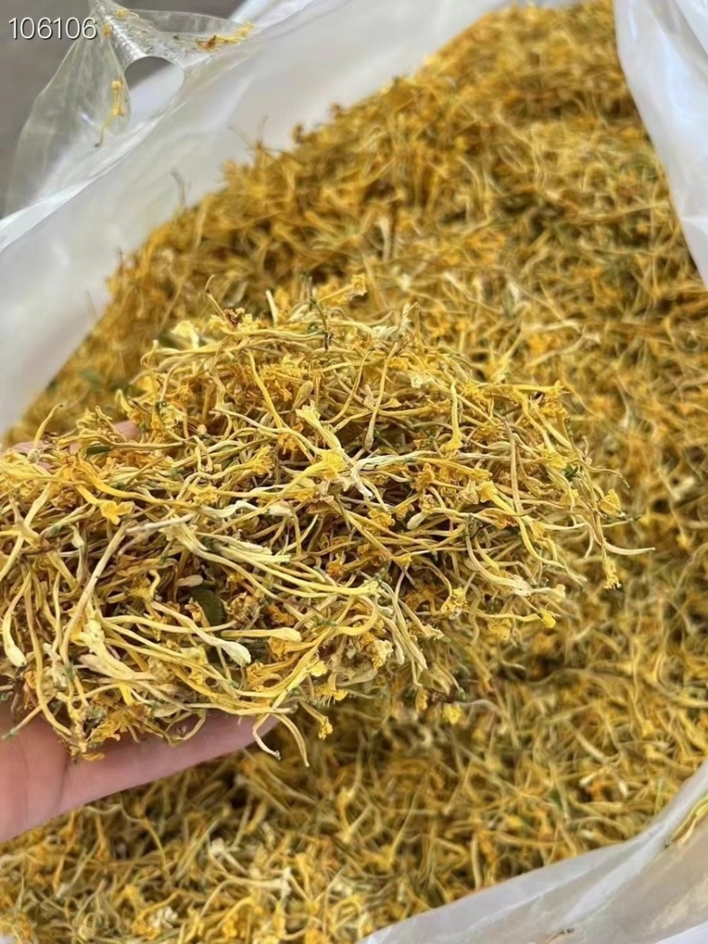 金银花云南金银花2025年新货大量上市