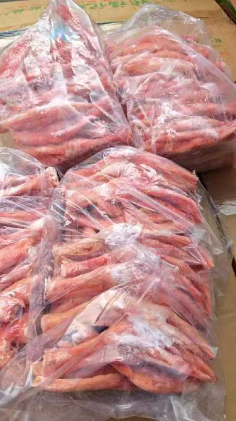精品鹅掌鹅爪大号货源充足品质保证欢迎咨询