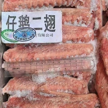 仔鹅二翅鹅翅品质保证货源充足欢迎选购