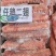 仔鹅二翅鹅翅品质保证货源充足欢迎选购