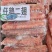 仔鹅二翅鹅翅品质保证货源充足欢迎选购