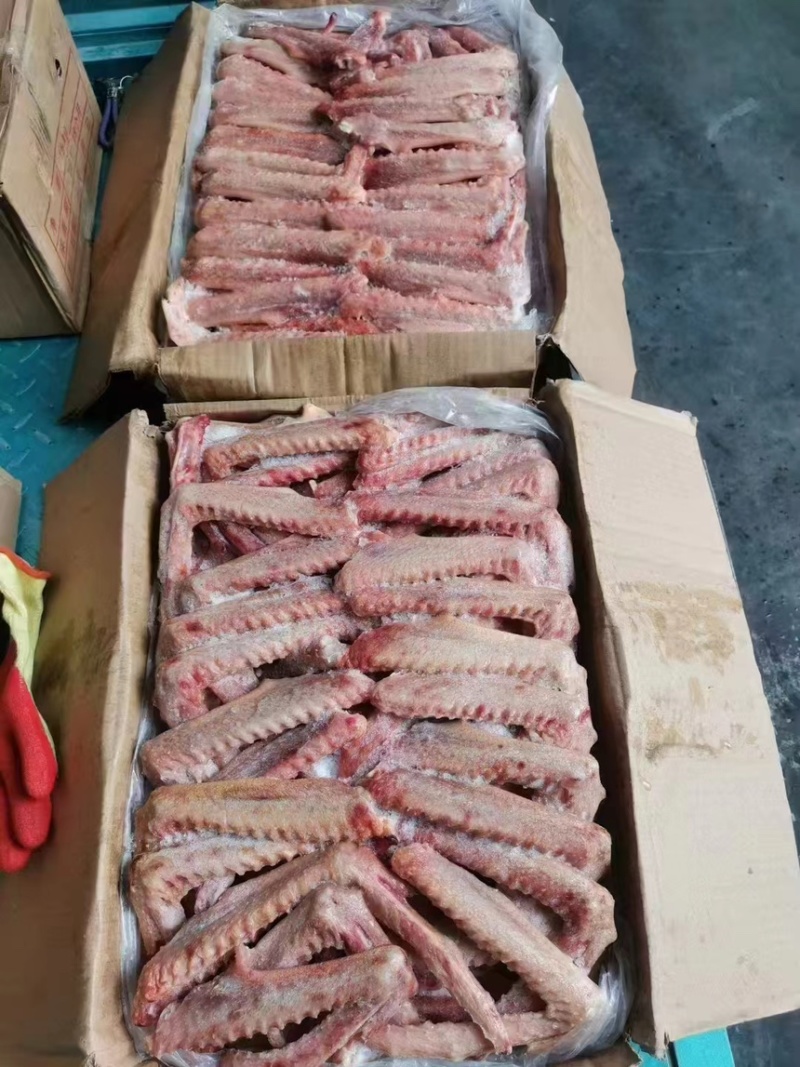 仔鹅二翅鹅翅品质保证货源充足欢迎选购