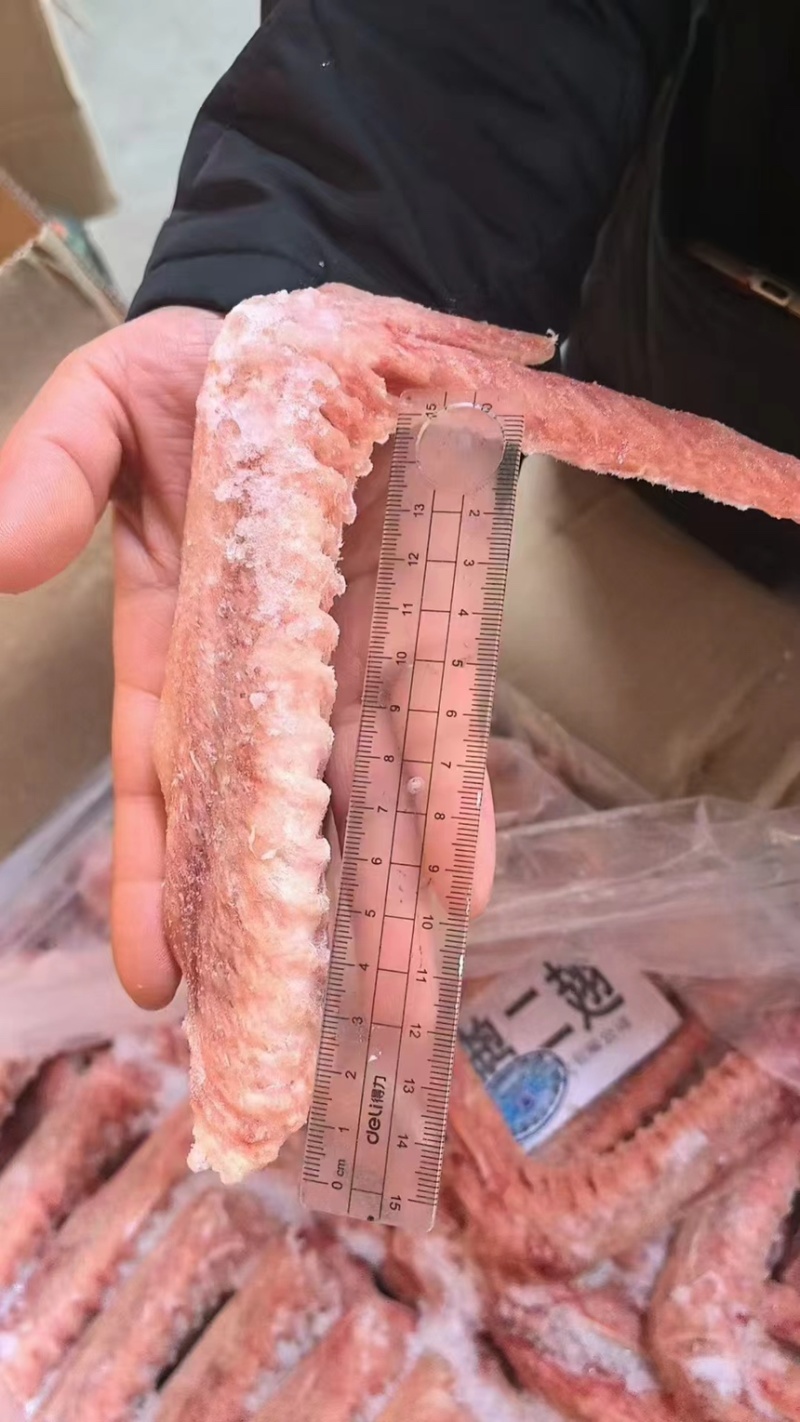 仔鹅二翅鹅翅品质保证货源充足欢迎选购