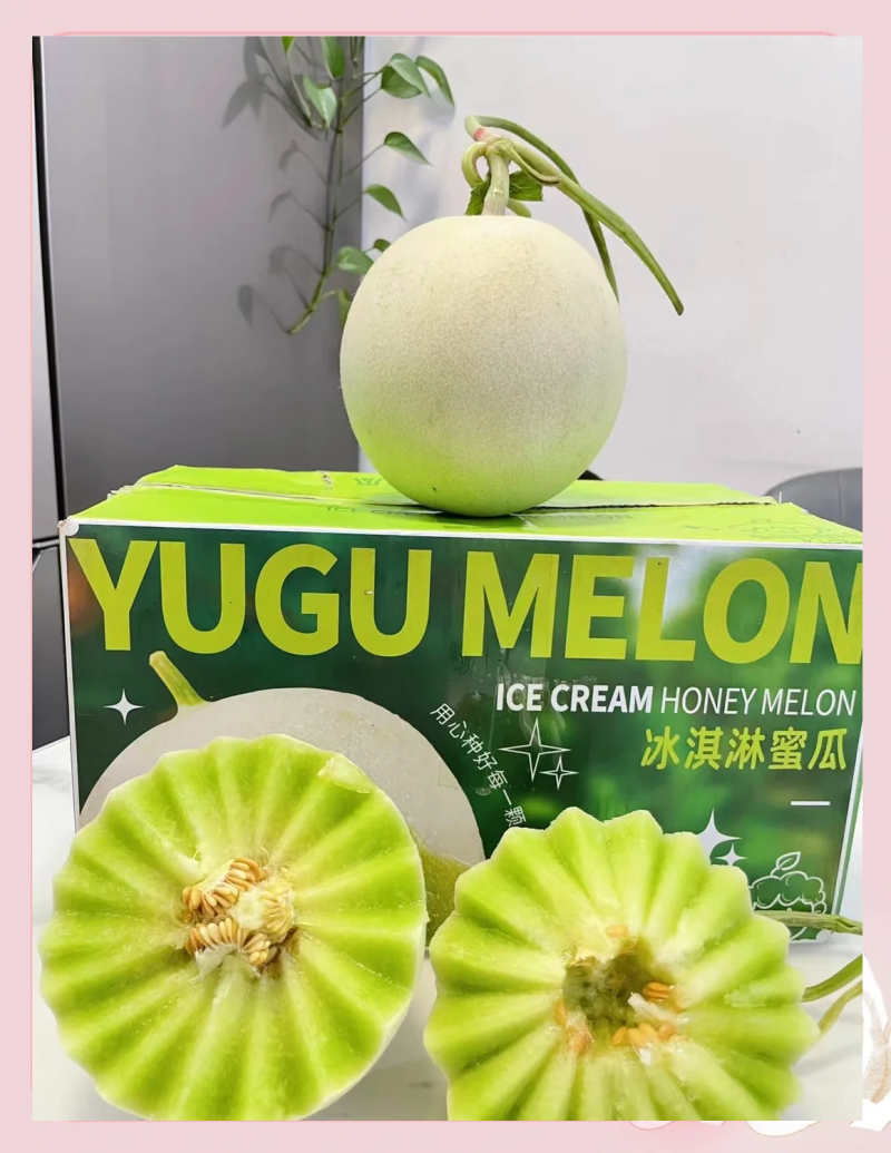 玉菇甜瓜大量上市，货源充足，发往全国各地，可视频看货