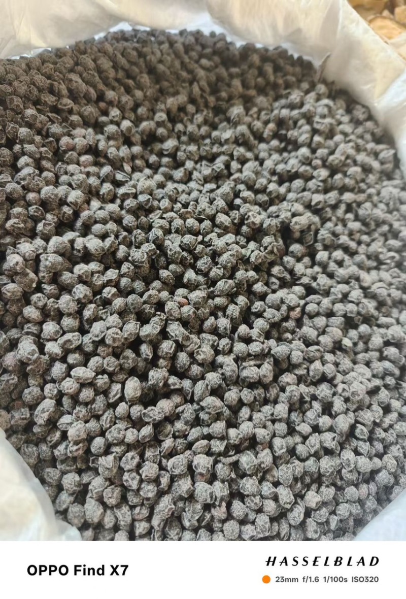 当归黑豆大量现货供应