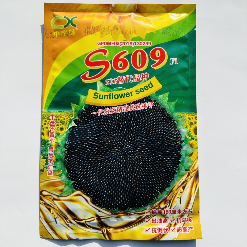 S609中熟油葵种子一代杂向日葵种籽交高产高油抗旱抗倒伏