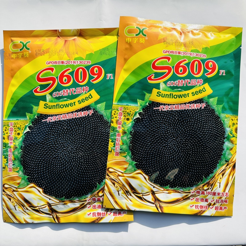 S609中熟油葵种子一代杂向日葵种籽交高产高油抗旱抗倒伏