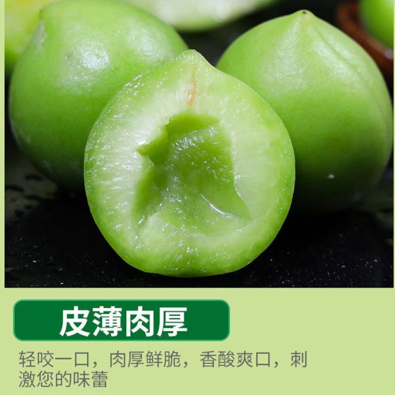 新鲜青梅子肉厚核小