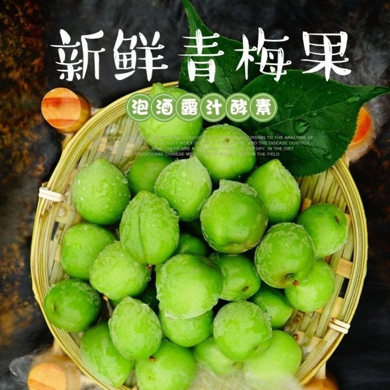 新鲜青梅子肉厚核小