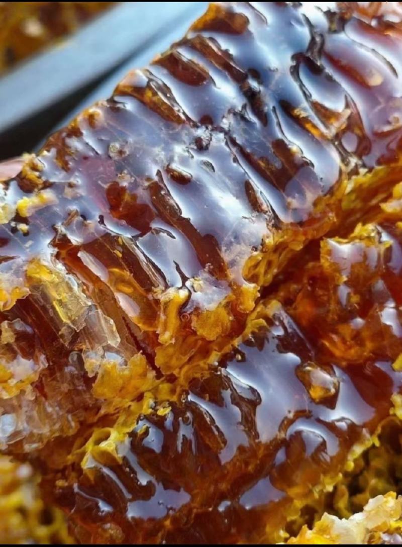 茶山野生蜂蜜，质量保证