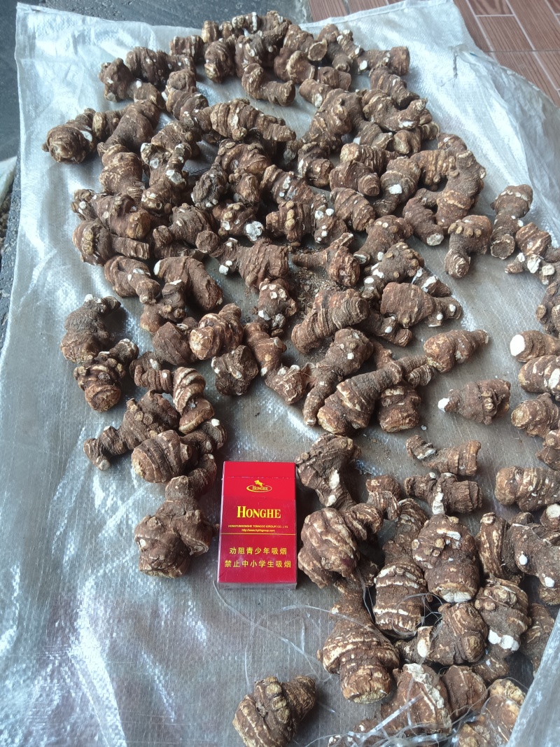 精品滇重楼干货