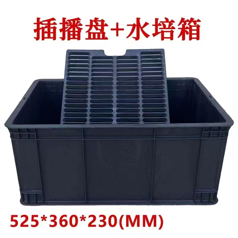 水培芽苗菜工具//多功能种植插播盘+水培箱一套量大优惠