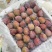 伽师县西梅