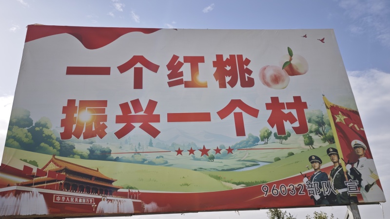 云南桃子红宝石桃弥勒早产区产地直发预计5月初上
