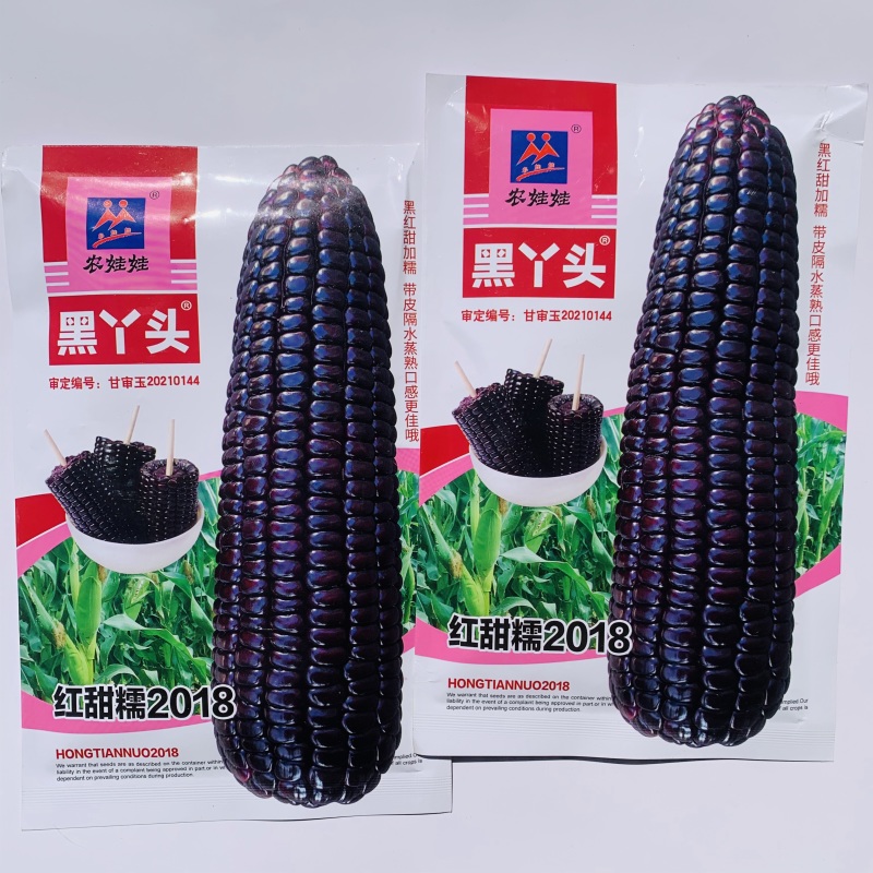 黑丫头红甜糯玉米种子早熟高产非转基因富含花青素香甜玉米