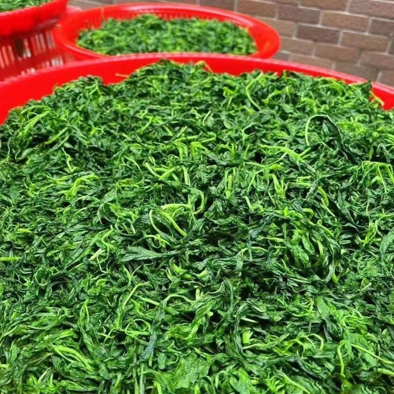 潮汕咸麻叶脱水麻叶产货源充足潮汕特产潮汕大排档名菜