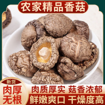 农家精品香菇地摊电商批发香菇干干香菇蘑菇花菇干货